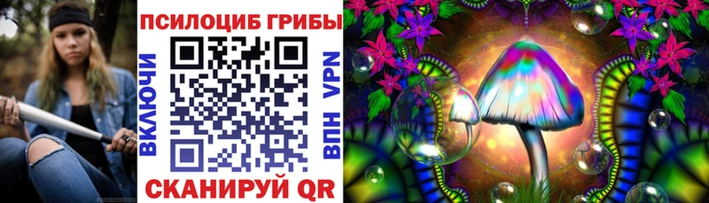 Купить закладки  Данков  Галлюциногенные грибы Psilocybine cubensis 